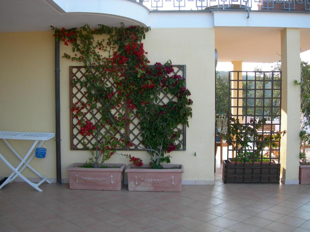Ferienwohnung PUNTA dei BARBARI #MAESTRALE #LIBECCIO #TRAMONTANA Cavo Zimmer foto